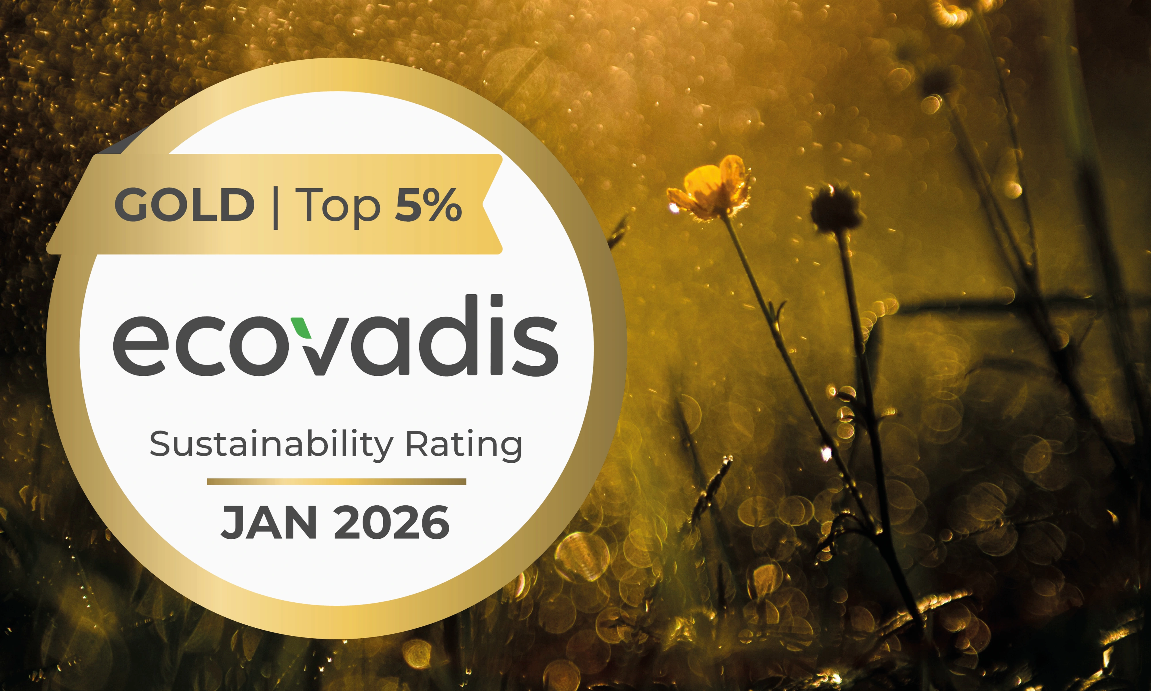 EcoVadis Gold