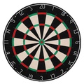 Darttavla officiell