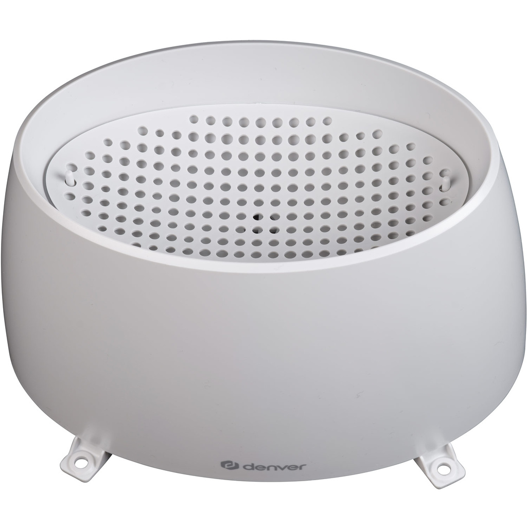 Weather station with clock & rain gauge WS-650