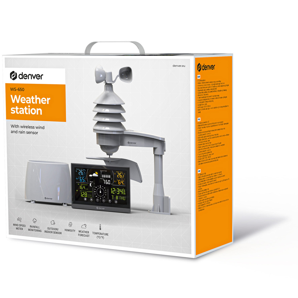 Weather station with clock & rain gauge WS-650