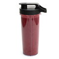 Smoothie Maker Power 600W 800 ml SM400 Stainless steel