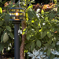 Jupiter Bollard Light 250lm Gray
