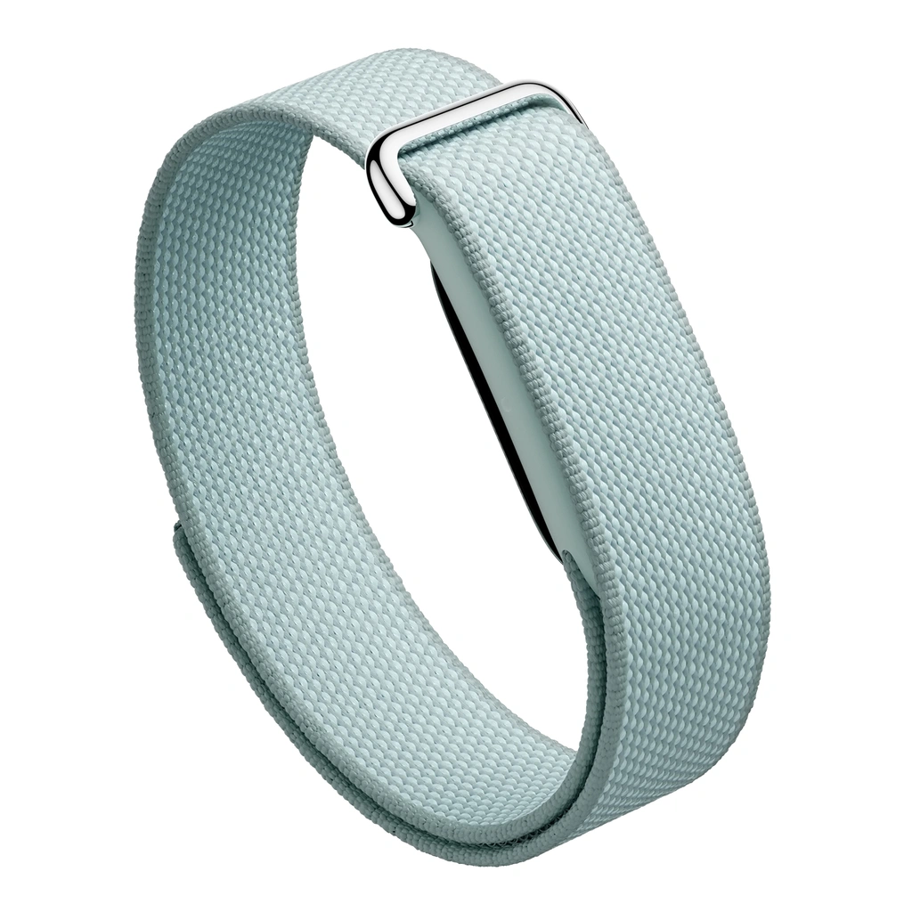 Google Fitbit Air, Fog, EU