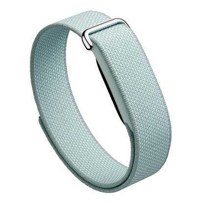 Google Fitbit Air, Fog, EU