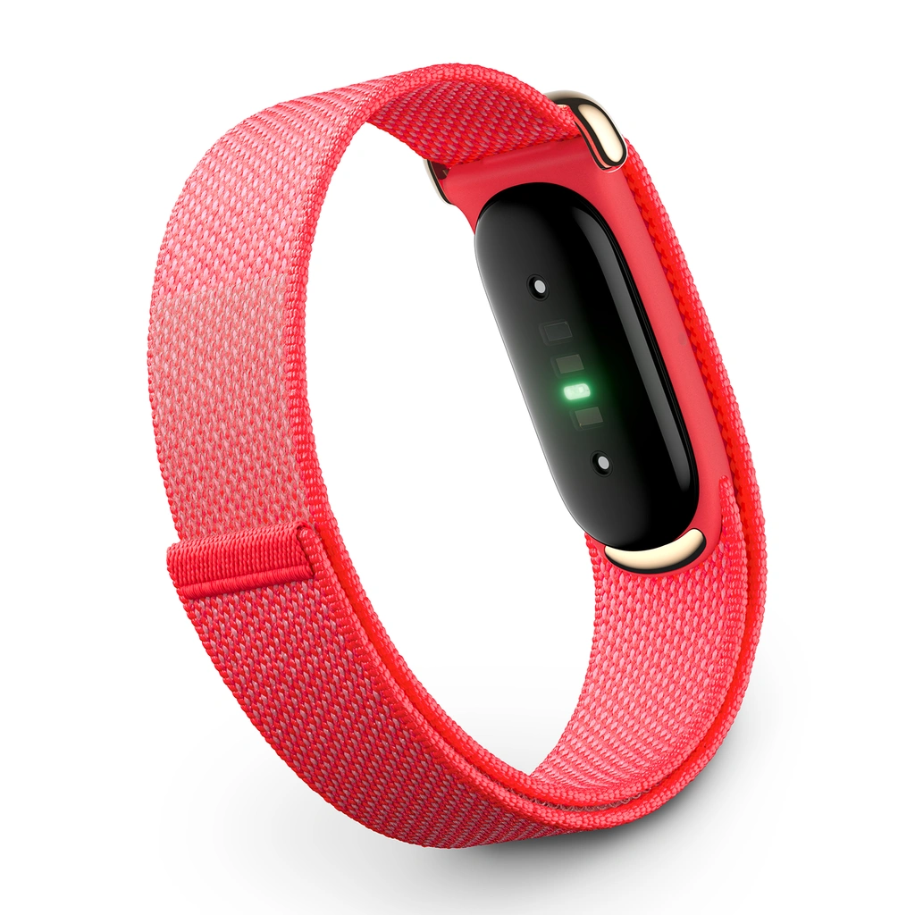 Google Fitbit Air, Berry, EU