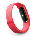 Google Fitbit Air, Berry, EU