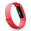 Google Fitbit Air, Berry, EU