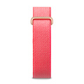 Google Fitbit Air, Berry, EU