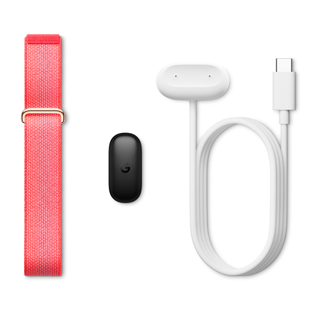 Google Fitbit Air, Berry, EU