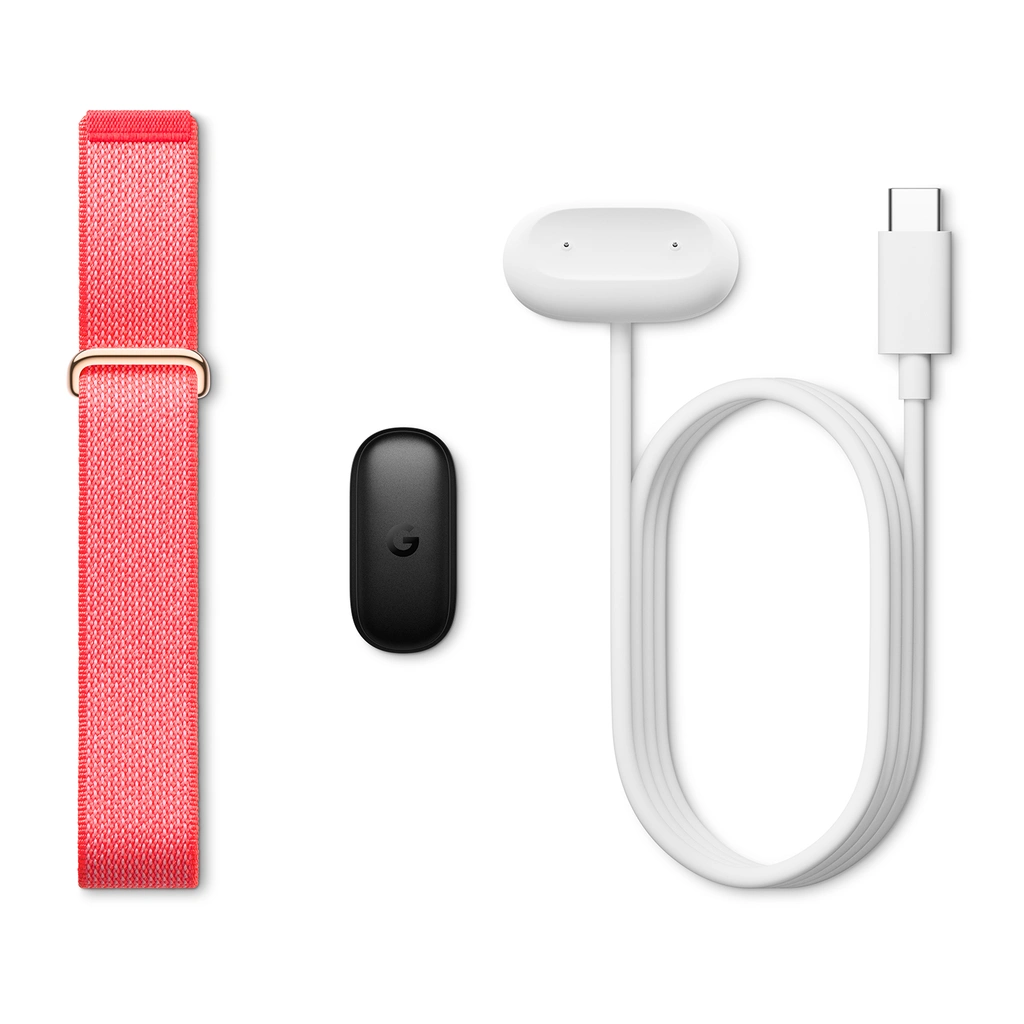 Google Fitbit Air, Berry, EU