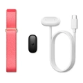 Google Fitbit Air, Berry, EU