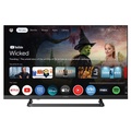 TV 24" HD LED 230/12Volt Google TV Svart
