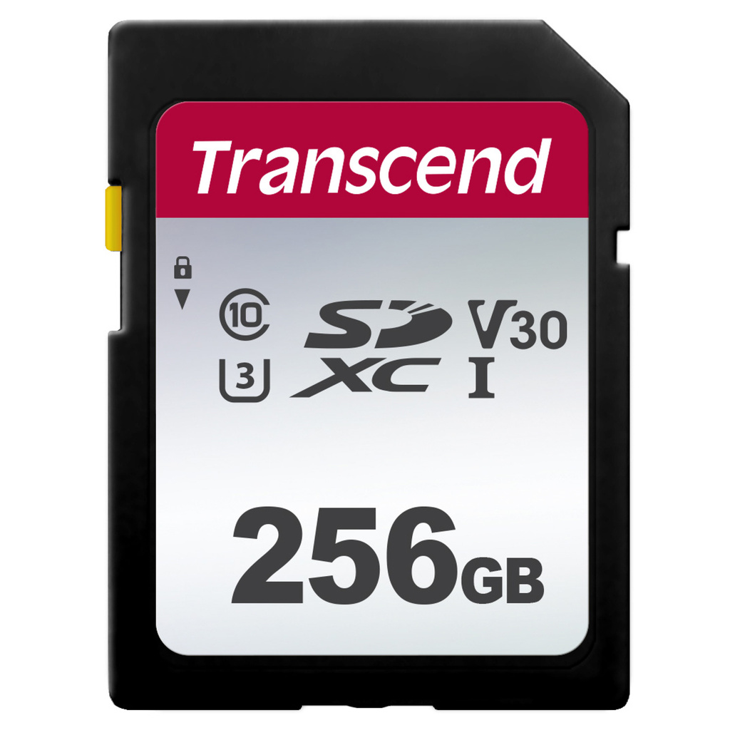 SDXC 256GB UHS-I U3 (R95/W45)