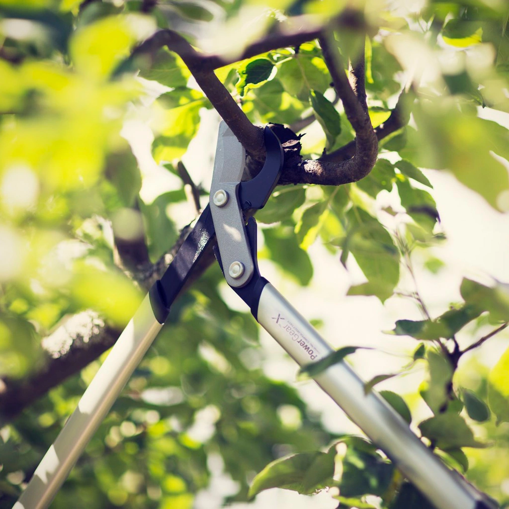 PowerGear X grensax LX94 M