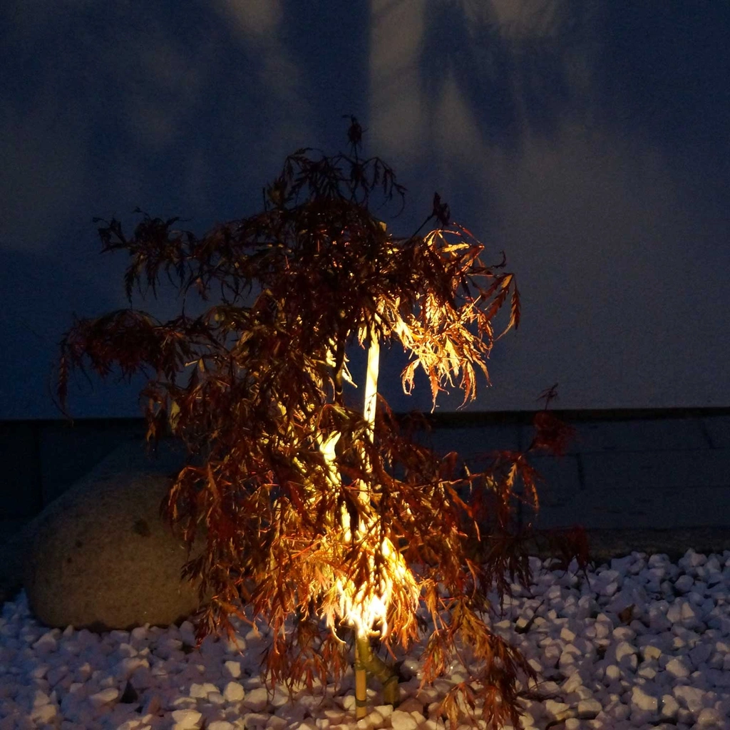 Luminus trädgårdsspot Svart