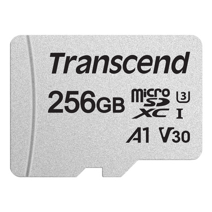 microSDXC 256GB U3 (R95/W40)