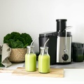 Juicer 0.6L 500W RS110 Black