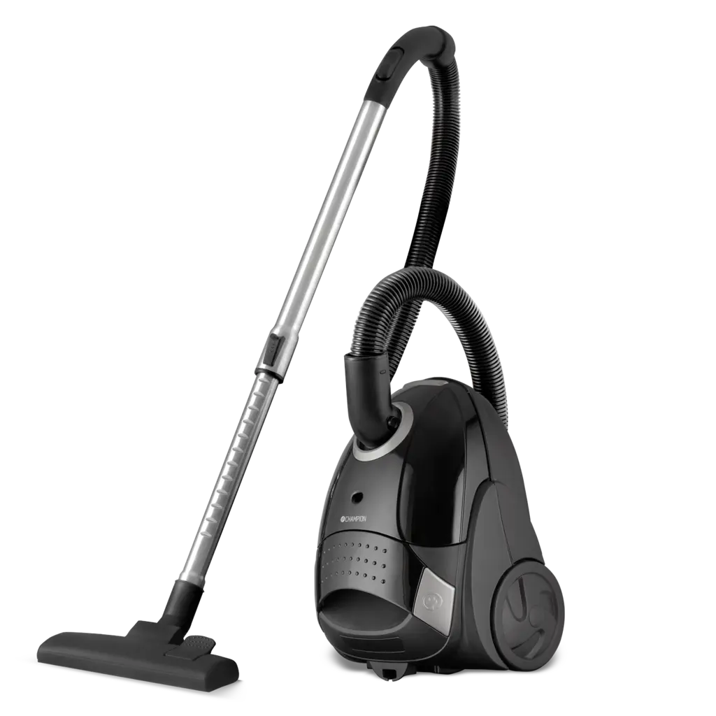 Dammsugare Small 700W 2L DS050 Svart