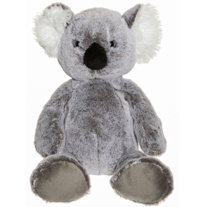 Teddy Wild  Koala Melerad
